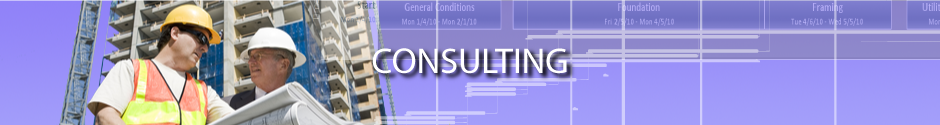 CONSULTING_HEADER2_web